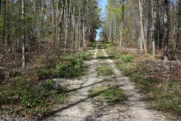 Bergklub: Grammel (575 m.ü.M.)